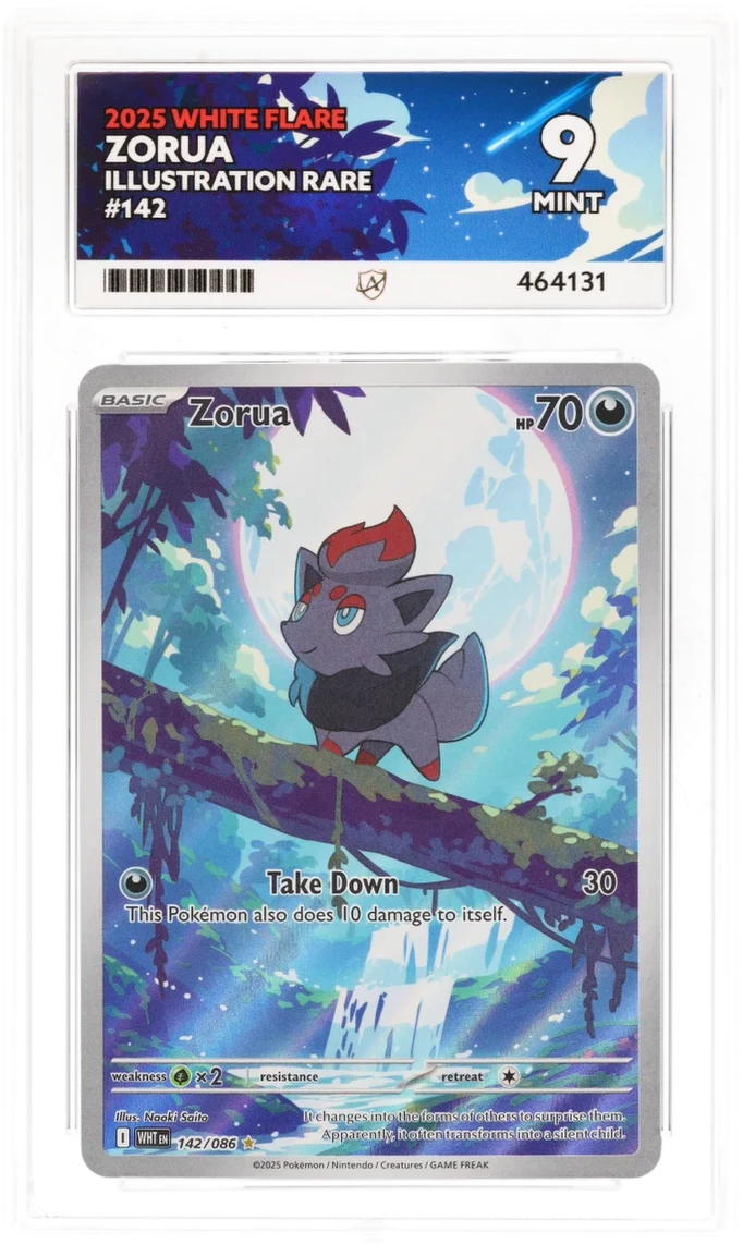ACE 9 - Zorua - 142/086 - Pokemon