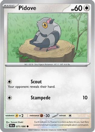 Pidove 71 - SV Black Bolt Reverse Holofoil